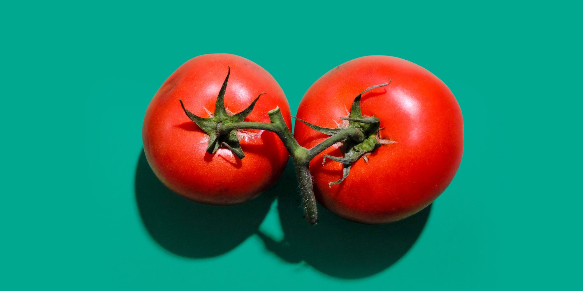 Cover Image for What planting tomatoes shows us about climate change