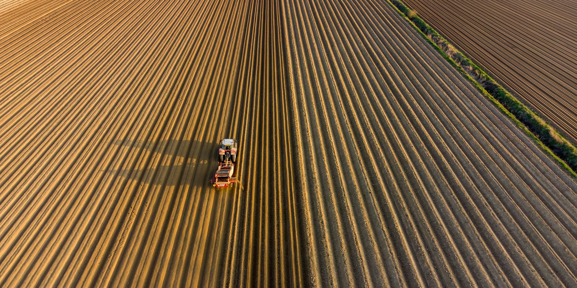 Cover Image for The Future of Sustainable Agriculture: Harnessing the Power of AI