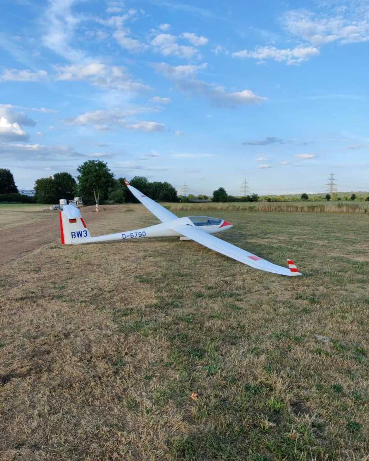 DG-300 WL