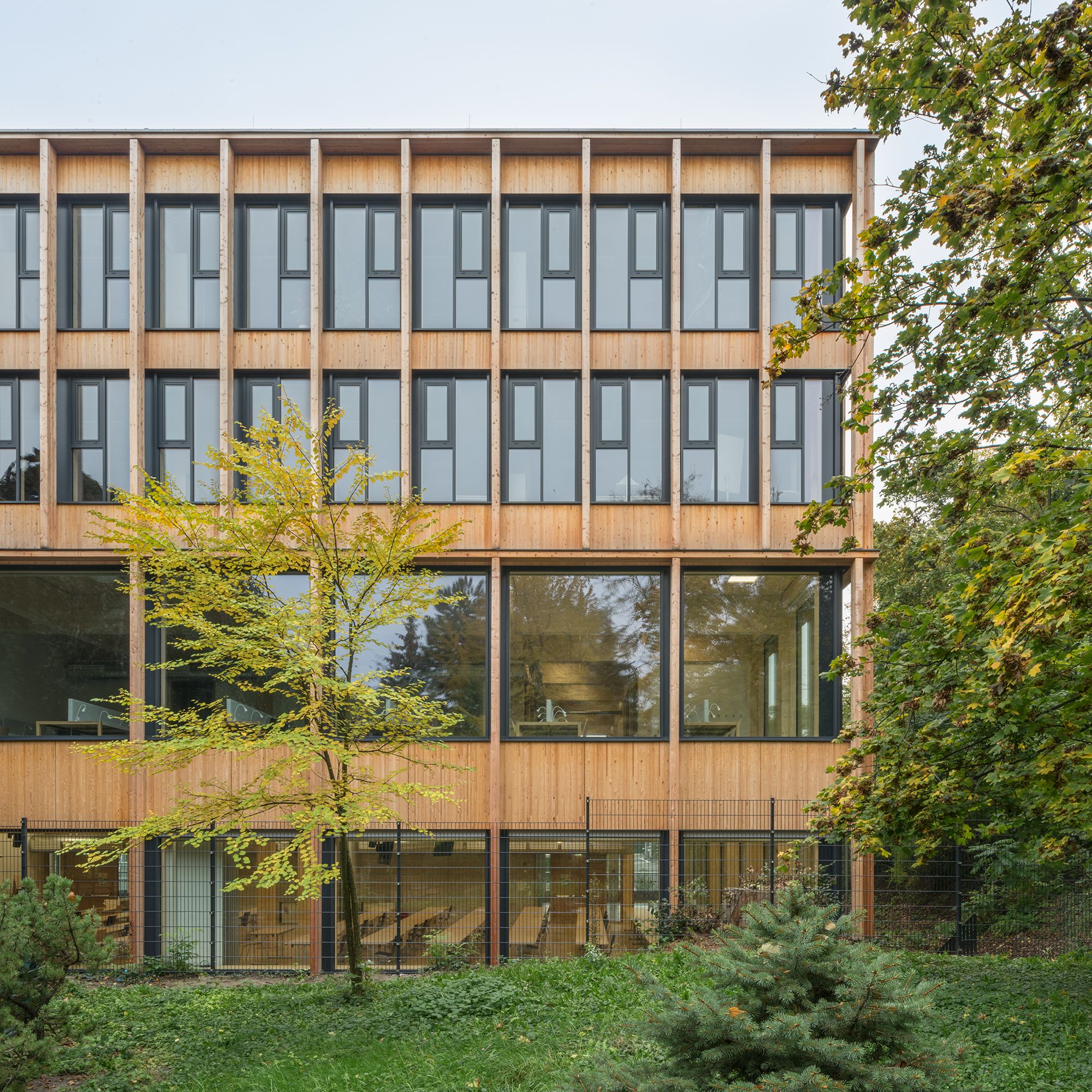 Ansicht Außen Bibliothek mit Bäumen