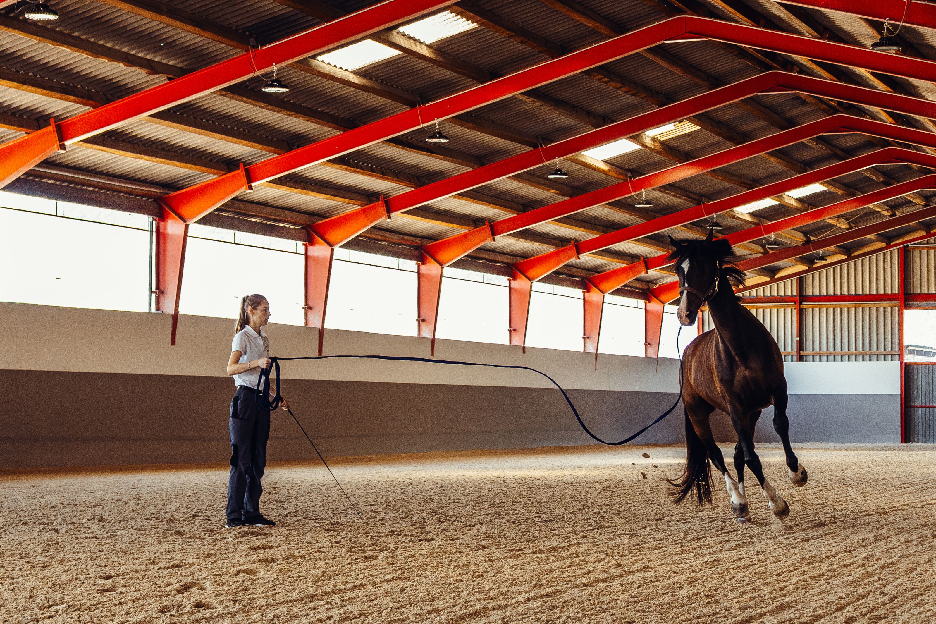 Pferdeklinik Ballycapall