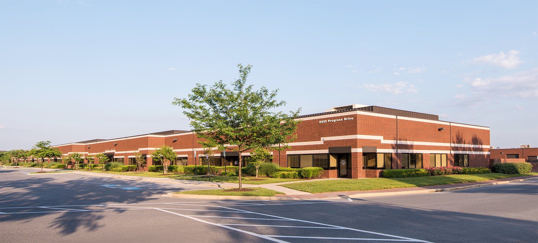 Brand Background Image