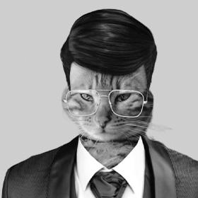 Portrettbilde av Katten