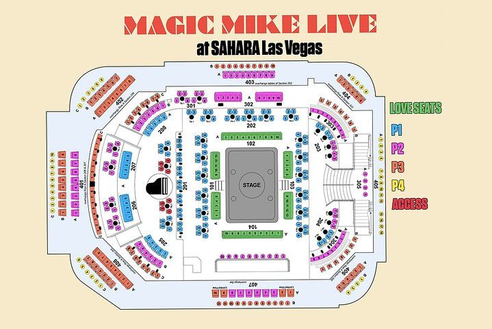 Magic Mike Live Interactive Dance Show SAHARA Vegas — photo 3