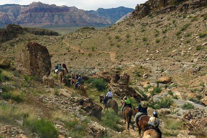 5-Hour Red Rock Canyon Horseback Desert Adventure Vegas — photo 4
