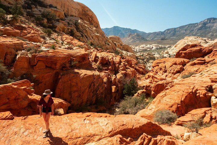 Red Rock Canyon Spring Mountain Ranch Combo Tour Vegas — photo 2