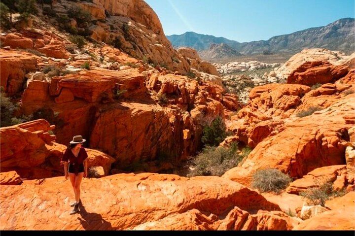 Red Rock Canyon Small Group Desert Tour Las Vegas — photo 2