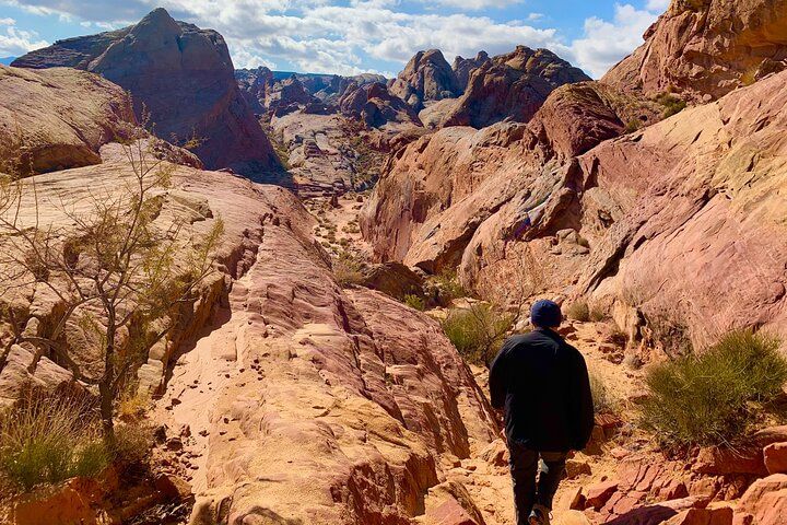 Valley of Fire Small Group Desert Excursion Vegas — photo 1