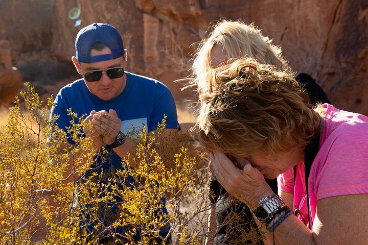 Valley of Fire Red Rock Canyon Combo Day Trip Las Vegas — photo 2