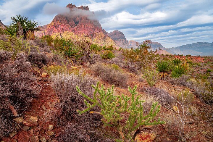 Red Rock Canyon Half Day Tour 3 Route Options Vegas — photo 4