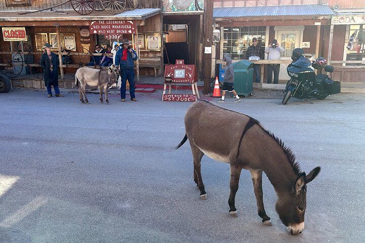 Oatman Ghost Town Wild Burros Route 66 Day Trip Laughlin — photo 1