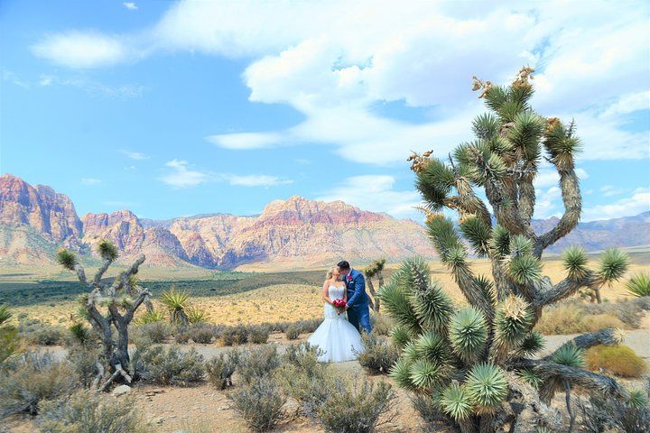 Red Rock Canyon Private Wedding Limo Package Las Vegas — photo 3