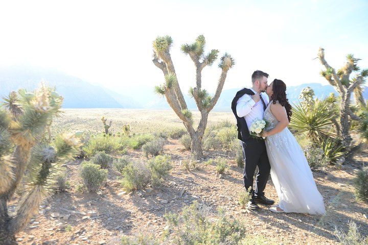 Red Rock Canyon Private Wedding Limo Package Las Vegas — photo 4