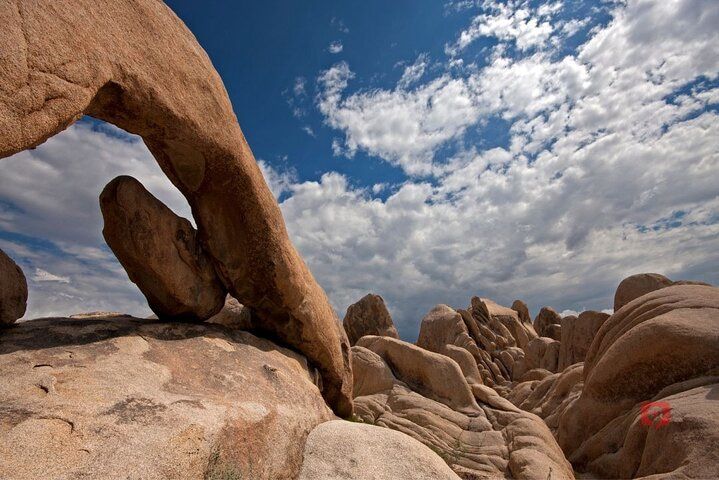 Joshua Tree Self-Guided Audio Adventure from Vegas — photo 4