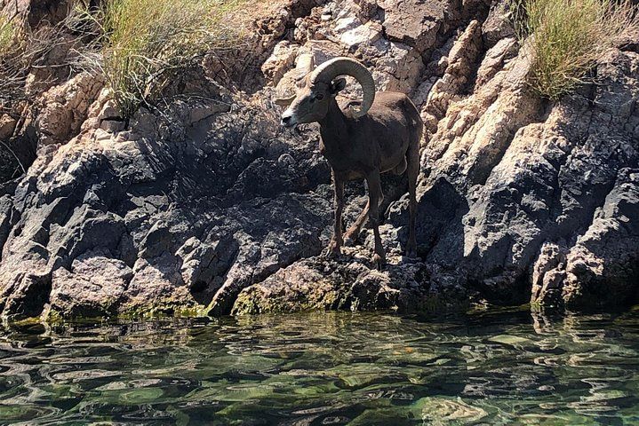 Willow Beach Emerald Cave Guided Kayak Tour — photo 2