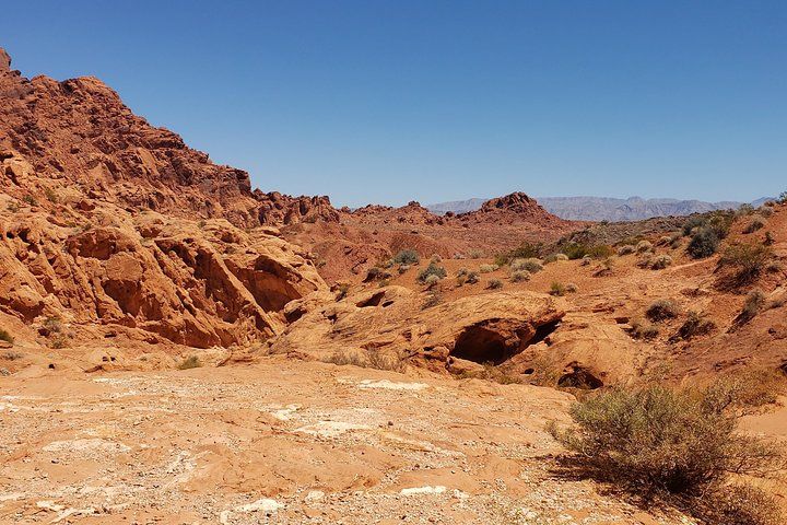 Valley of Fire Small Group Desert Excursion Vegas — photo 4