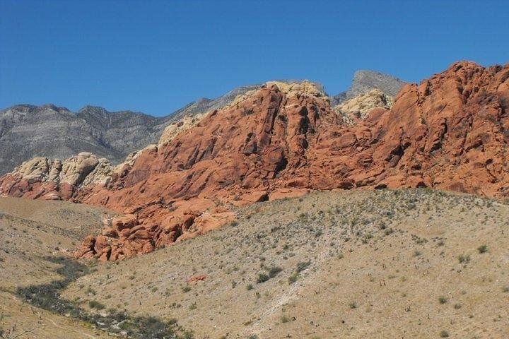 Red Rock Canyon Mustang Trail Mountain Bike Tour Vegas — photo 3