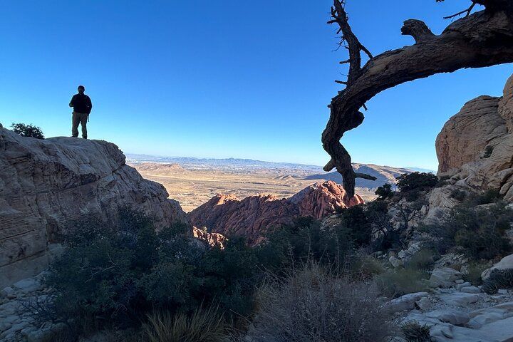 Red Rock Canyon Guided Hiking Experience Las Vegas — photo 4