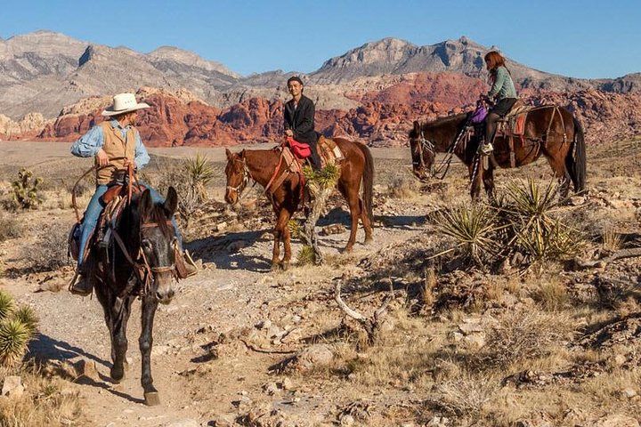 5-Hour Red Rock Canyon Horseback Desert Adventure Vegas — photo 1