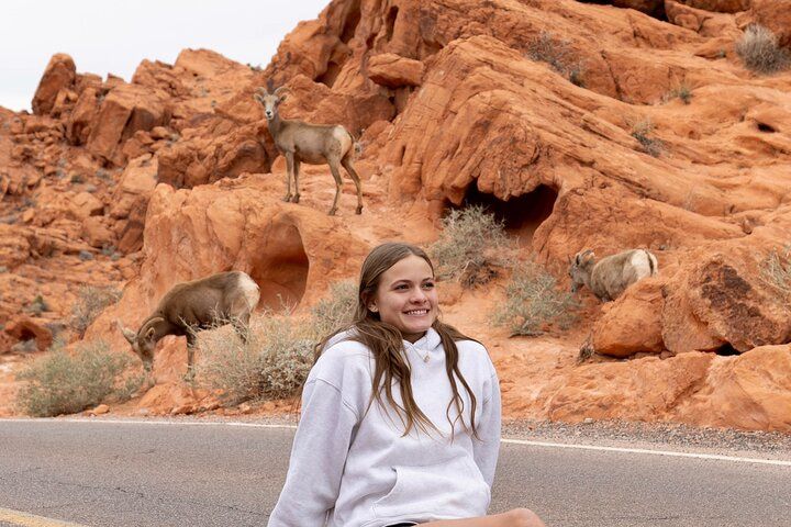 Valley of Fire Red Rock Canyon Combo Day Trip Las Vegas — photo 3