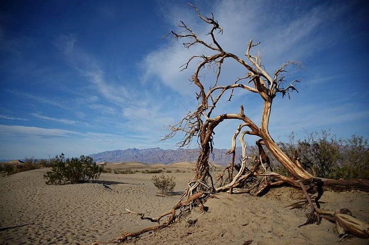Death Valley Guided Small Group Adventure from Las Vegas — photo 3