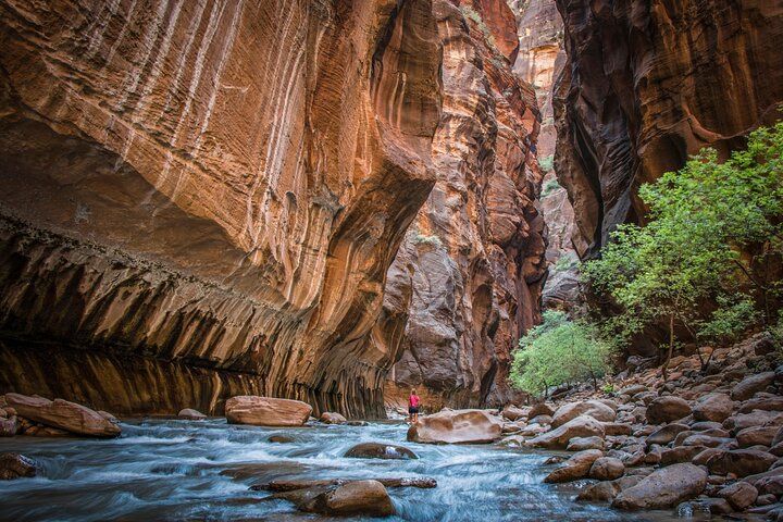 Zion Utah Red Rock Canyon Day Trip from Las Vegas — photo 3