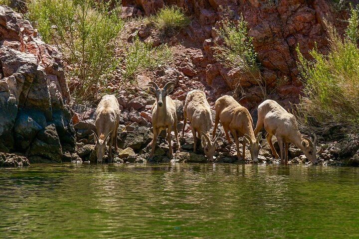 4-Hour Triple Cave Kayak Adventure Emerald Cave Vegas — photo 2