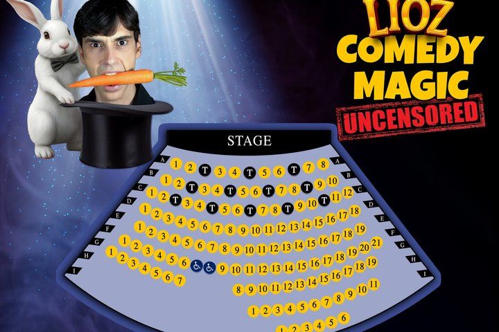 LIOZ Adult Comedy Magic Show Planet Hollywood V Theater — photo 2