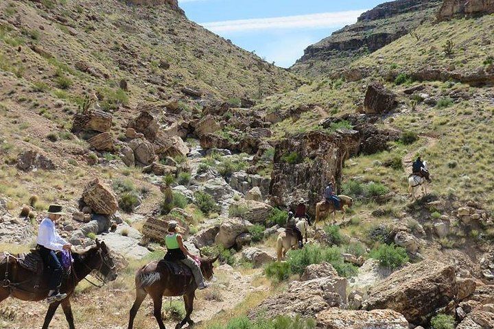 5-Hour Red Rock Canyon Horseback Desert Adventure Vegas — photo 2