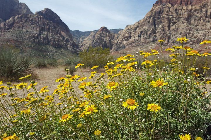Red Rock Canyon Guided eBike Adventure from Las Vegas — photo 4