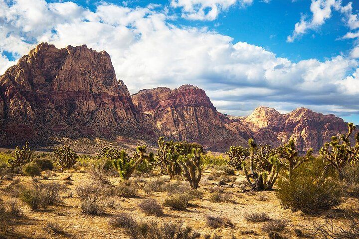Seven Magic Mountains Red Rock Desert Art Tour Vegas — photo 3