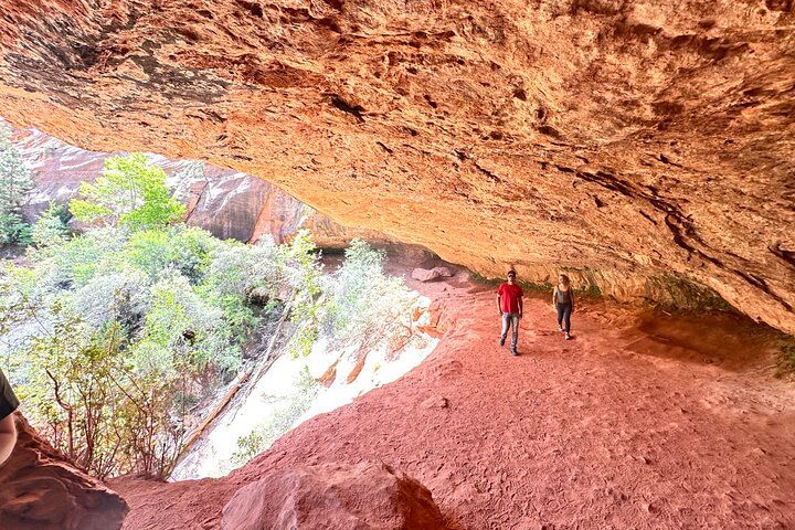 Private Zion Photography Day Trip from Las Vegas — photo 4