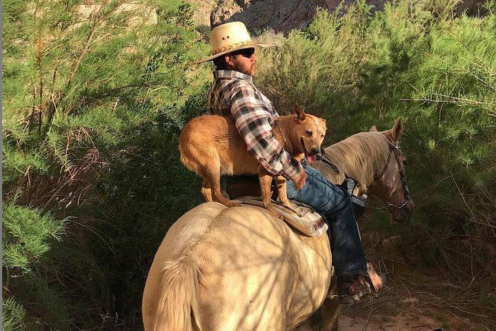 5-Hour Wild West Horseback with Meal Las Vegas — photo 1