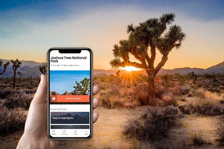 Joshua Tree Self-Guided Audio Adventure from Vegas — photo 2