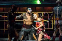 Cirque Soleil