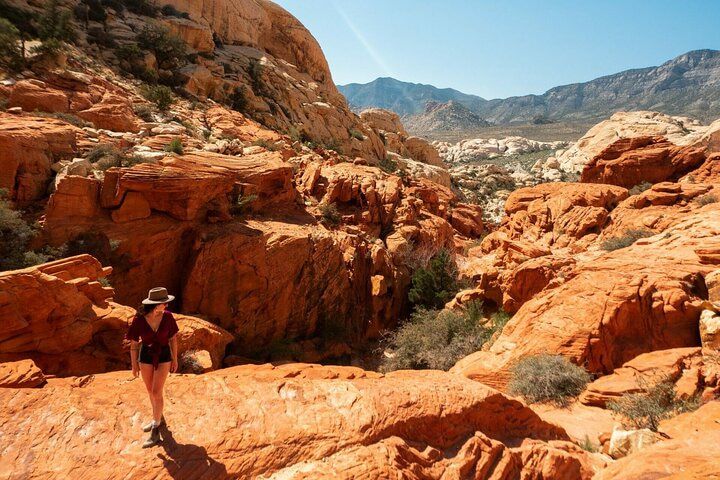 Red Rock Canyon Scenic Loop Small Group Tour Las Vegas — photo 1
