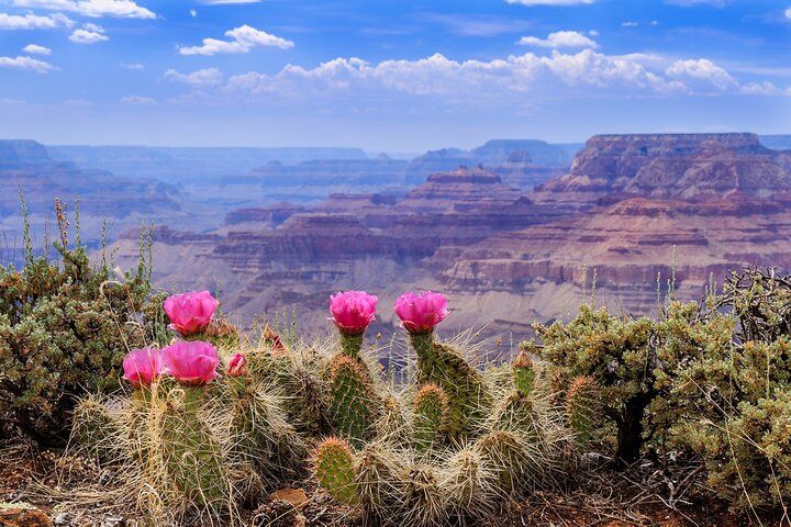 72-Hour Four Parks Southwest Adventure from Las Vegas — photo 4