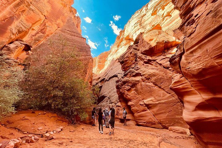 17-Hour South Rim Antelope Canyon Horseshoe Bend Combo Vegas — photo 1