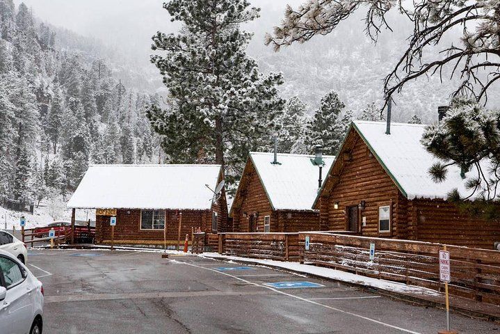 Mount Charleston Escape: Cool Mountain Day Trip — photo 3