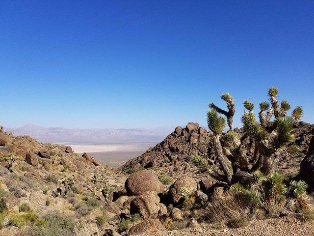 Red Rock Canyon Road Bike Tour from Las Vegas — photo 2