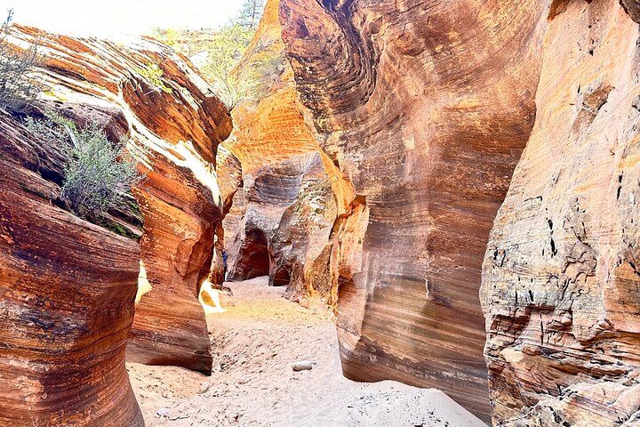 Private Zion Photography Day Trip from Las Vegas — photo 3