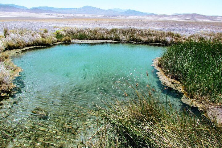 Private Tecopa Hot Springs Desert Adventure Las Vegas — photo 3