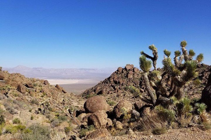 Red Rock Canyon Electric Bike Half Day Adventure Vegas — photo 2