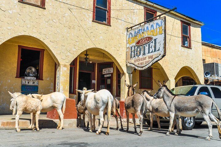 Oatman Ghost Town Wild Burros Route 66 Day Trip Laughlin — photo 2