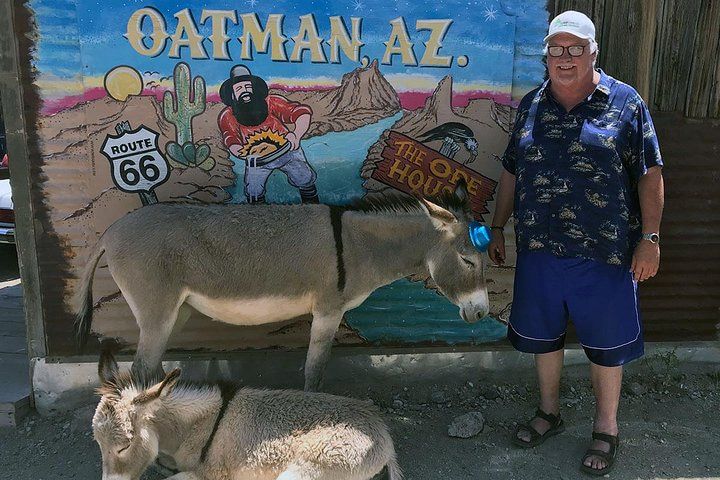 Oatman Ghost Town Wild Burros Route 66 Day Trip Laughlin — photo 4