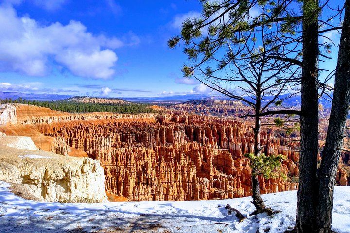 Bryce Zion Two Parks Day Trip from Las Vegas — photo 4