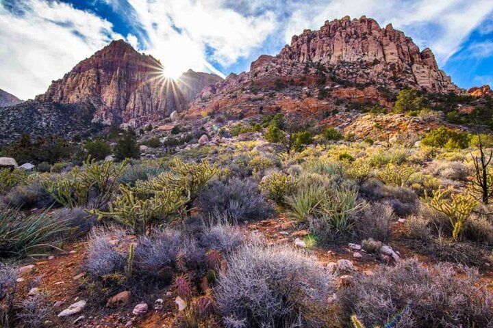 Red Rock Canyon Spring Mountain Ranch Combo Tour Vegas — photo 4
