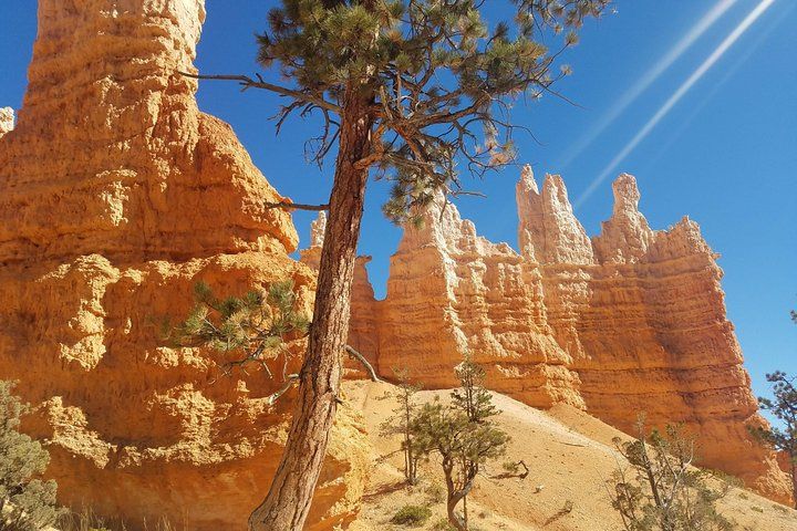 Bryce Zion Utah Parks Adventure Las Vegas — photo 2