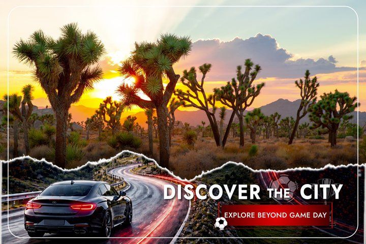 Joshua Tree Self-Guided Audio Adventure from Vegas — photo 1