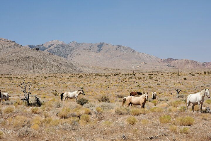 Private UTV Mining District Adventure Las Vegas — photo 3